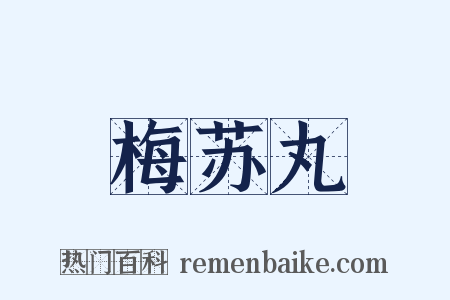 梅苏丸是什么意思的图片